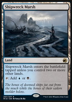 Shipwreck Marsh